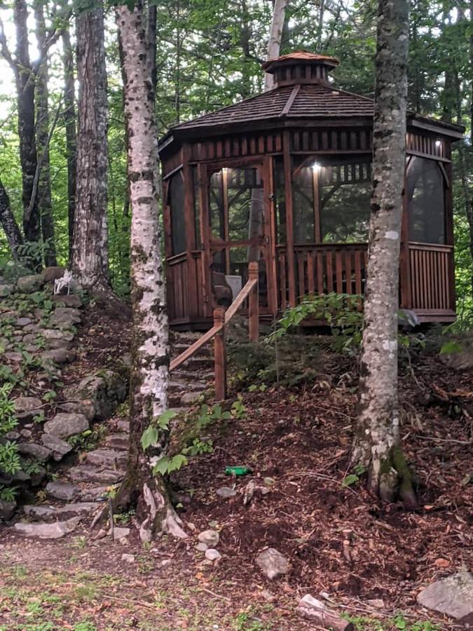 Pond Memories - National Parks Suite - Paddling Included! Surry Exterior foto